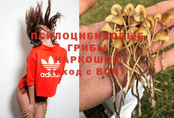 винт Арсеньев