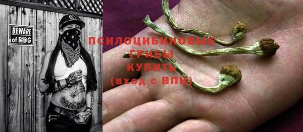 амф Балахна