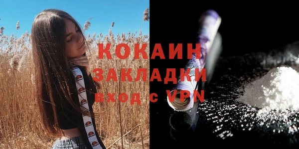 винт Арсеньев