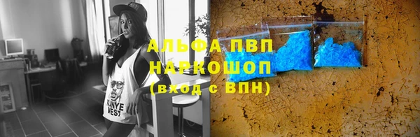 мяу мяу мука Баксан