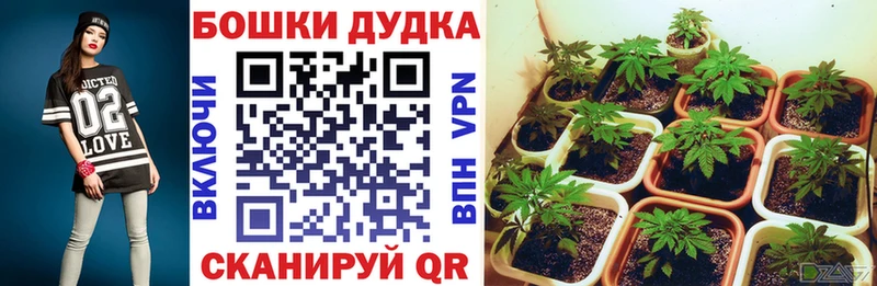 Бошки марихуана SATIVA & INDICA Добрянка